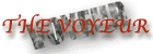 DomSubFriends magazine of New York, the Voyeur